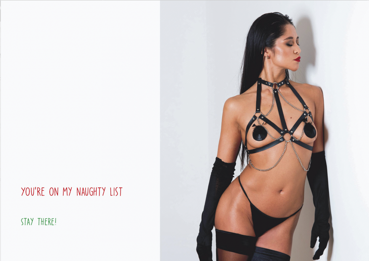 You are on my naughty list / Kinky postcard: Christmas edition