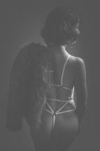 The Web of Light