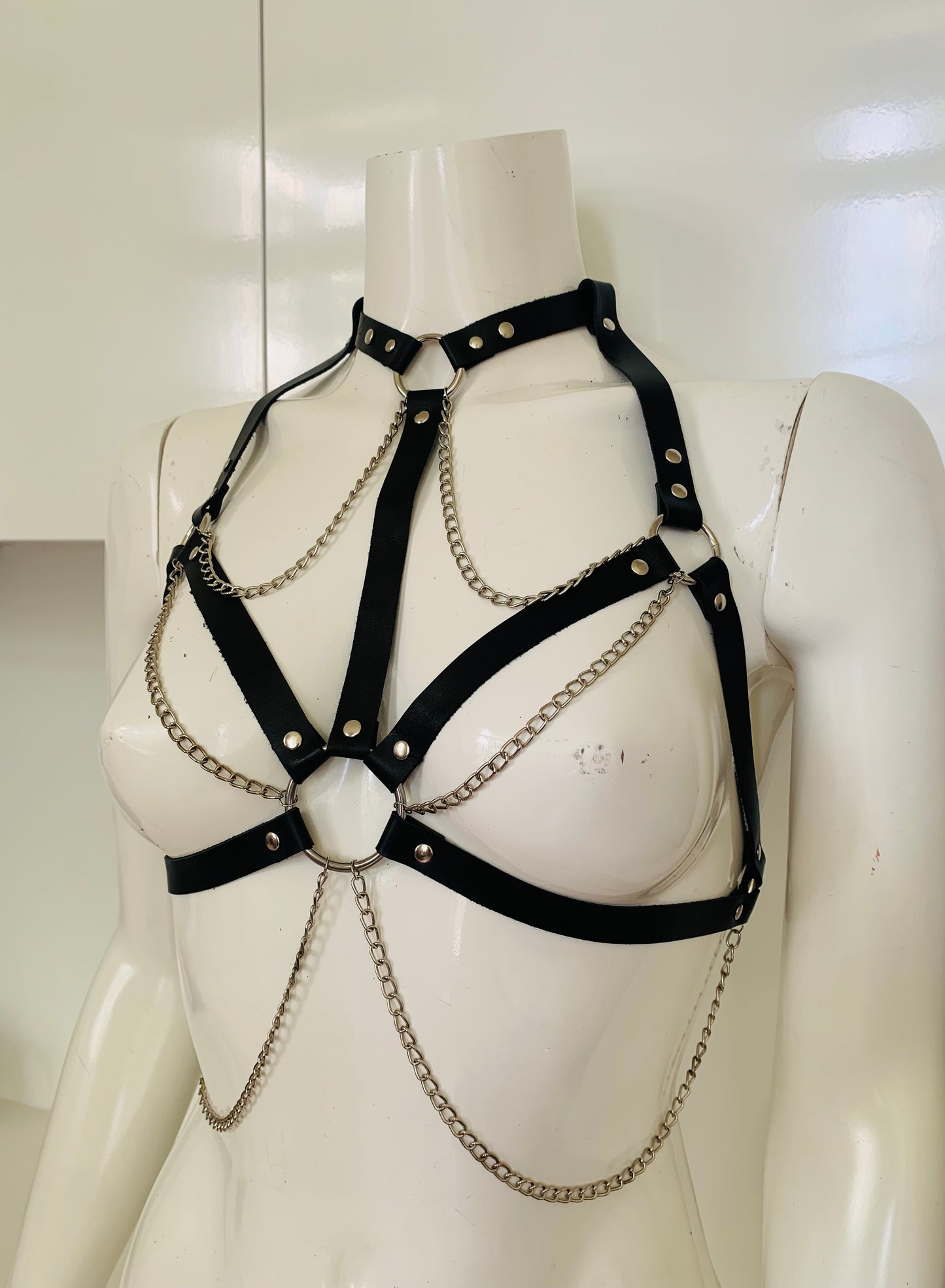 Die Welle Leather Harness